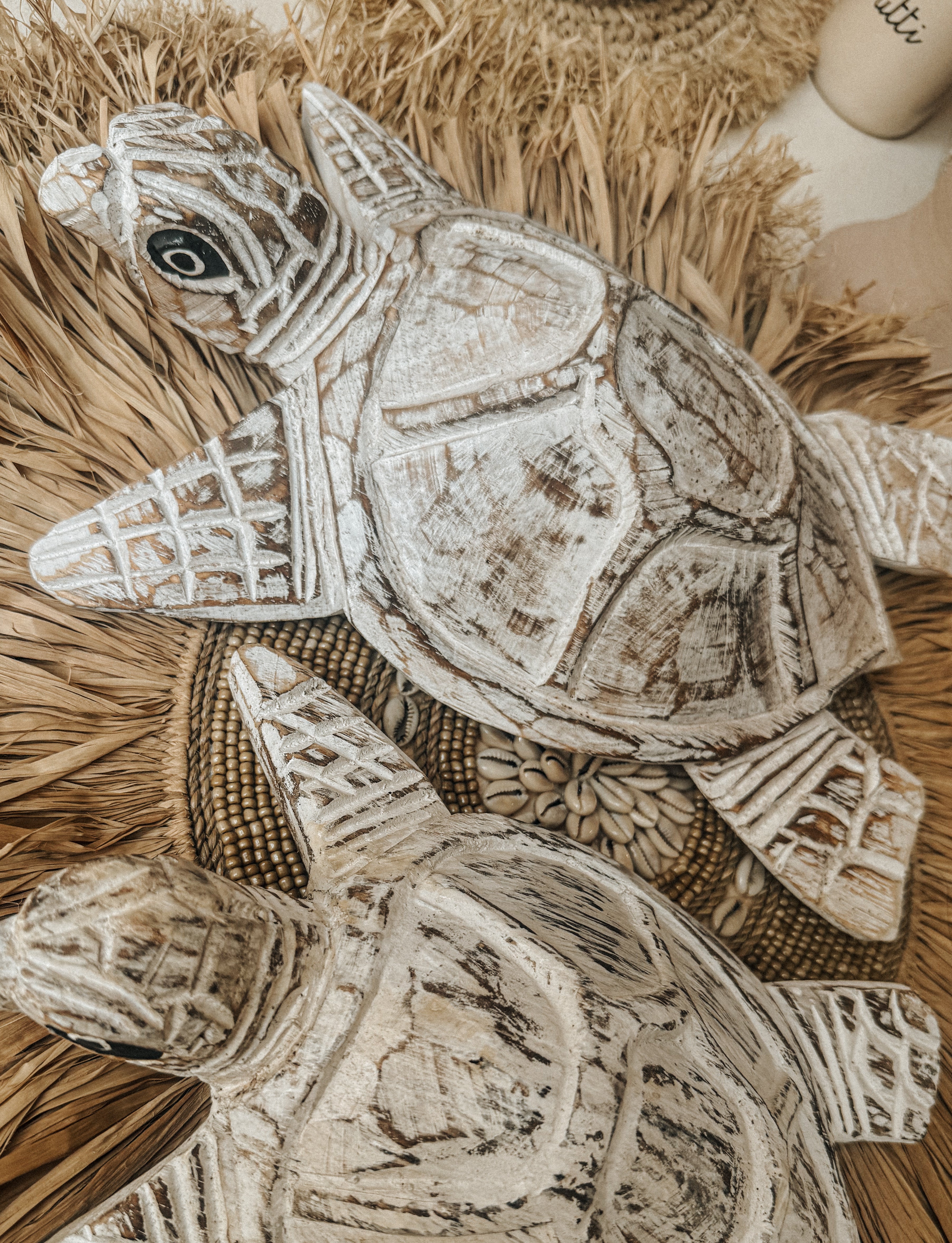 SCHILDPAD HOUT | GROOT