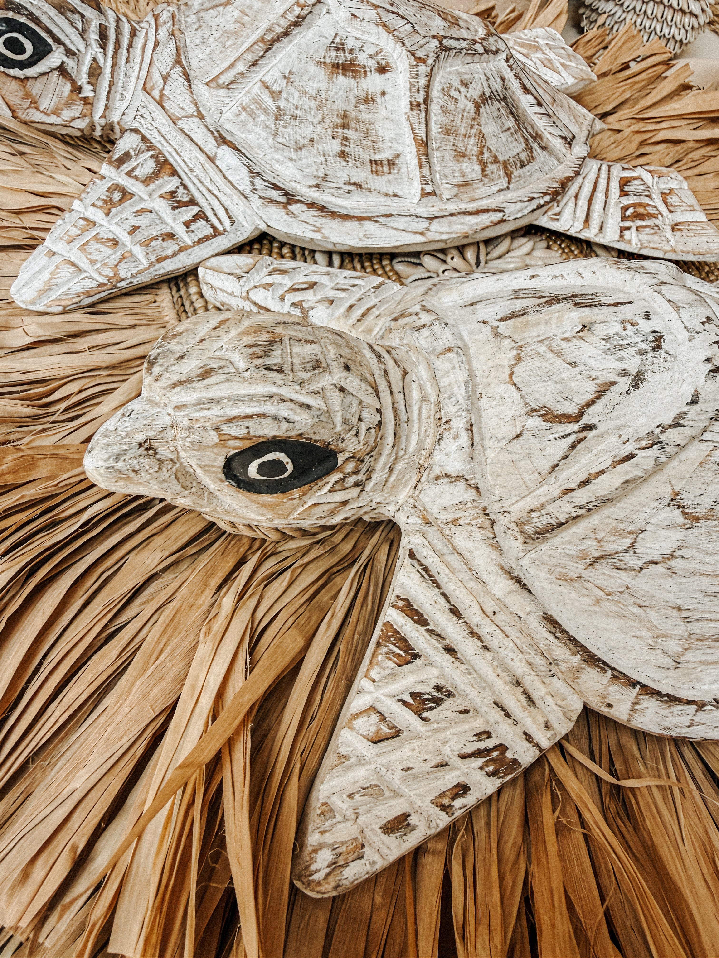 SCHILDPAD HOUT | GROOT